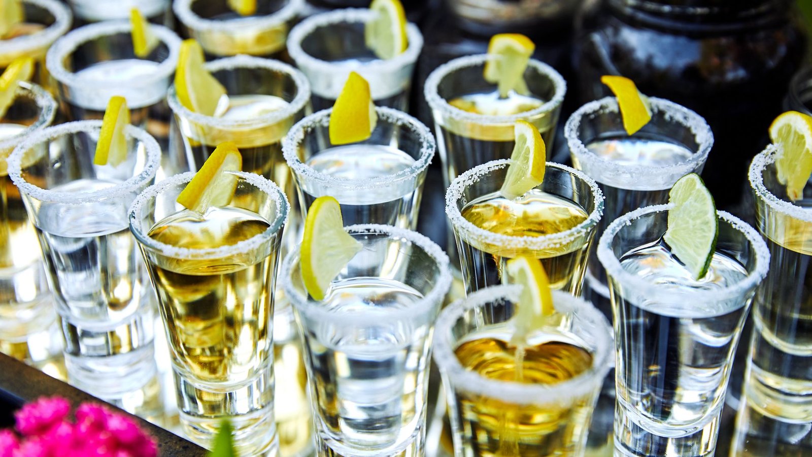Woman given 14 shots of tequila on cruise gets £220k in damages